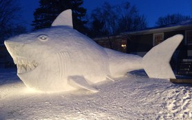 Thích thú chiêm ngưỡng cá mập tuyết được làm bởi 3 anh em ruột