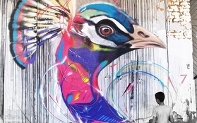 Thích thú với chân dung các loài chim độc đáo trên đường phố Brazil