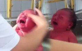 Tắm trẻ sơ sinh trong bồn rửa inox: Giám đốc bệnh viện lên tiếng
