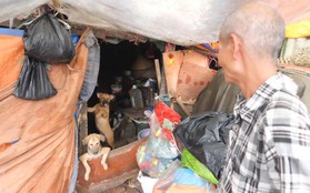 Hà Nội: Cặp vợ chồng sống trong túp lều xập xệ, cưu mang gần 20 con chó