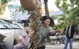 Trương Quỳnh Anh bầm giập vì đóng cảnh bị xe tông