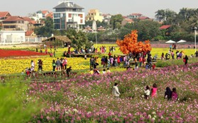 Hà Nội: Dịch vụ ăn theo "hốt bạc" nhờ dòng người nườm nượp đi chụp ảnh với hoa Tết