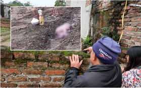 Hà Nội: Rúng động nữ sinh vứt xác con mới sinh xuống vườn nhà dân