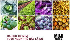 Có gì ở gian hàng rau củ mới toanh của MUJI?