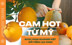 Loại cam hot từ Mỹ được food blogger Việt nổi tiếng lựa chọn, tìm hiểu mới biết quá trình trồng và chăm sóc cực kỹ lưỡng!