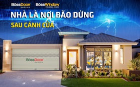 BössDoor và BössWindow - Để "nhà là nơi bão dừng sau cánh cửa"