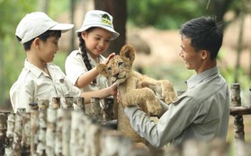 Chuyện ít người biết về những “bảo mẫu” động vật hoang dã tại Vinpearl Safari Phú Quốc