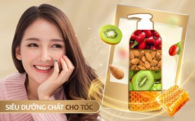 Siêu dưỡng chất cho tóc “lên ngôi”: Giải quyết nỗi lo tóc “đói”