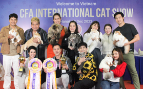 Cuộc thi sắc đẹp mèo quốc tế CFA lần đầu diễn ra tại Hà Nội