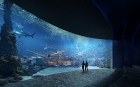 Thủy cung Lotte World Hà Nội - Thế giới đại dương đầy màu sắc sắp khai trương giữa lòng Thủ đô
