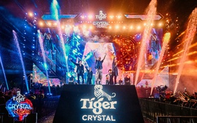 Tiger Crystal Rave Vũng Tàu phá kỷ lục với 60.000 khán giả "quẩy té nước”