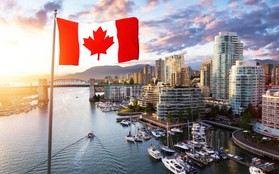 Canada, IELTS và cơ hội định cư: "bộ phim" đang hot trong làng du học mùa xuân này