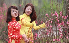 Giới trẻ đổ xô đến Thiên đường Bảo Sơn chụp ảnh vườn xuân