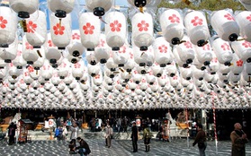 Lễ hội Ngắm trăng Tsukimi Matsuri tại Savico Megamall