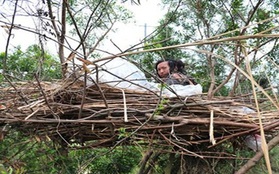 Trung Quốc: Phát hiện “người chim” sống trên “tổ cây” khổng lồ