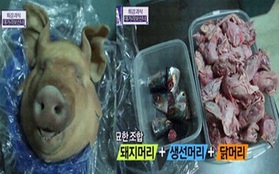 Hàn Quốc: Cô nàng xinh đẹp "cuồng" ăn các loại... đầu động vật