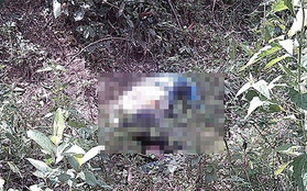 Phát hiện thi thể nữ sinh bị phân hủy trong rừng