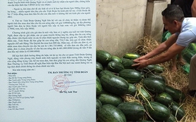 Tỉnh Đoàn Quảng Ngãi lên tiếng về nghi vấn "ăn trên lưng nông dân 2.000 đồng/kg dưa"