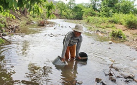 "Đêm mưa vàng”, nước thượng nguồn đổ ngập tâm hạn Ninh Thuận