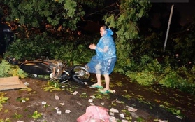 Hà Nội mưa dông kinh hoàng, 2 người tử vong do cây đổ
