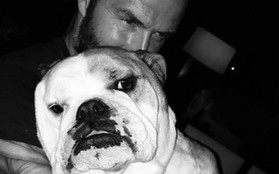 Chú chó Coco, thành viên siêu đặc biệt trong gia đình Beckham 6 năm qua