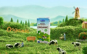 Giải mã xu hướng Organic – "Cơn sốt" sống xanh từ Âu, Mỹ