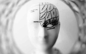 Có đúng là đến 25 tuổi não bộ con người mới phát triển toàn diện và đây là con số “thần thánh” quyết định độ trưởng thành?