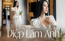 Phỏng vấn Diệp Lâm Anh: &quot;Tôi đấu tranh cho danh dự của mình và bằng mọi giá sẽ giữ lấy các con&quot;