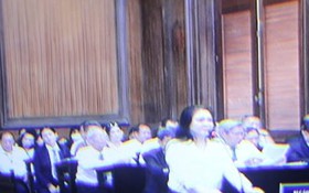 Hầu toà, Nguyễn Phương Hằng khai gì?