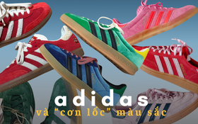 Đế chế màu sắc của adidas đang thống trị mạng xã hội ngay lúc này!