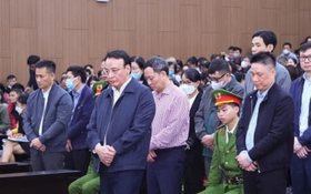 Chủ tịch Tân Hoàng Minh Đỗ Anh Dũng lĩnh 8 năm tù