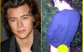 Harry Styles (One Direction) thản nhiên khoe hàng "tè bậy"