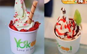Kết quả: Thưởng thức frozen yogurt ở YoKool  