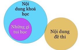 Sự thật 100%