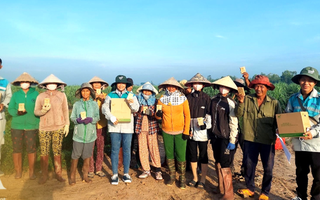 Thả sinh vật chưa đến 1mm ra ruộng mía: Đột phá ý tưởng đưa mía Việt chinh phục Mỹ, EU