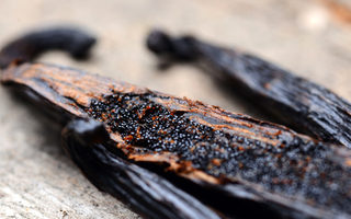 Cây “vô danh” bất ngờ thành đặc sản giá 15 triệu đồng/kg, Việt Nam cũng đã trồng thành công