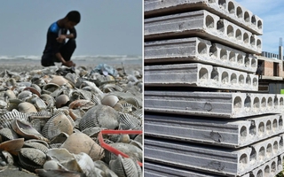 Phát minh có thể làm rung chuyển ngành xây dựng: Dùng thứ bị bỏ đi ở khắp các bờ biển để trộn thêm, giúp bê tông cứng hơn 20%, giảm phát thải CO2 đến 36%