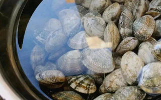 Rửa ngao ốc, người cho ớt, người cho rượu: Tất cả đều sai, người bán hải sản đã dạy tôi mẹo thực sự hiệu quả này