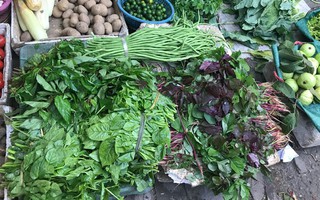 Việt Nam có loại “rau trường thọ” chỉ vài nghìn cả bó, cực giàu chất sắt, canxi và protein
