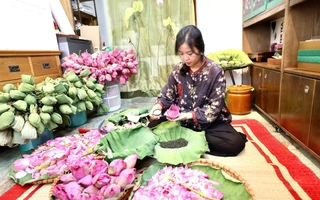 Khám phá quy trình ướp trà sen đắt đỏ nhất Hà thành