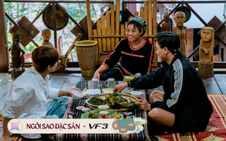 Xách balo về Gia Lai đại ngàn: Ăn phở 2 tô, ngắm rừng thông trăm tuổi và đắm mình trong sắc xanh đồi chè