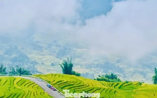 48 giờ săn mây, ngắm lúa, ăn gà ở Y Tý