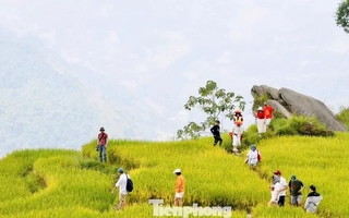 Du khách đổ về Y Tý, đắm chìm với ruộng bậc thang đẹp nhất Tây Bắc