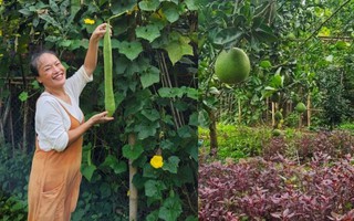 Mẹ nuôi của Phương Oanh nghỉ hưu sớm, làm nông dân ở khu vườn rộng 4.000m² ven sông Hồng
