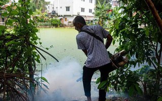 Loài động vật nguy hiểm nhất thế giới giết chết hơn 1.000.000 người mỗi năm: Không phải con vật bạn đang nghĩ