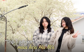 Cả Hà Nội phát sốt vì những cây hoa này: Chỗ đẹp như ngôn tình, nơi đã xác xơ - đi nhầm phí công vô ích!