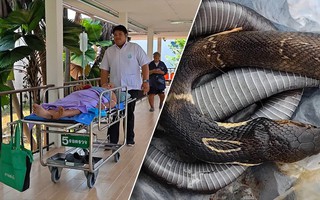Người phụ nữ 69 tuổi chém chết rắn hổ mang rồi bình tĩnh mang xác rắn đến bệnh viện