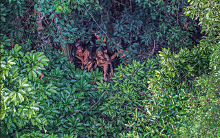 Bộ tộc biệt lập nhất ở Amazon khiến thế giới ngỡ ngàng với hình ảnh người trẻ dùng smartphone nhoay nhoáy