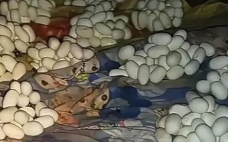 Mở cửa căn phòng trống, nam thanh niên chứng kiến cảnh tượng "không thể tin nổi"