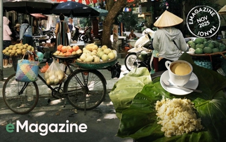 Vạn vật thua Hà Nội ngày trở lạnh